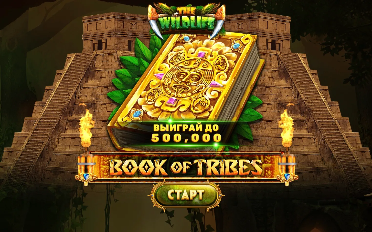 book-of-tribes-1.webp