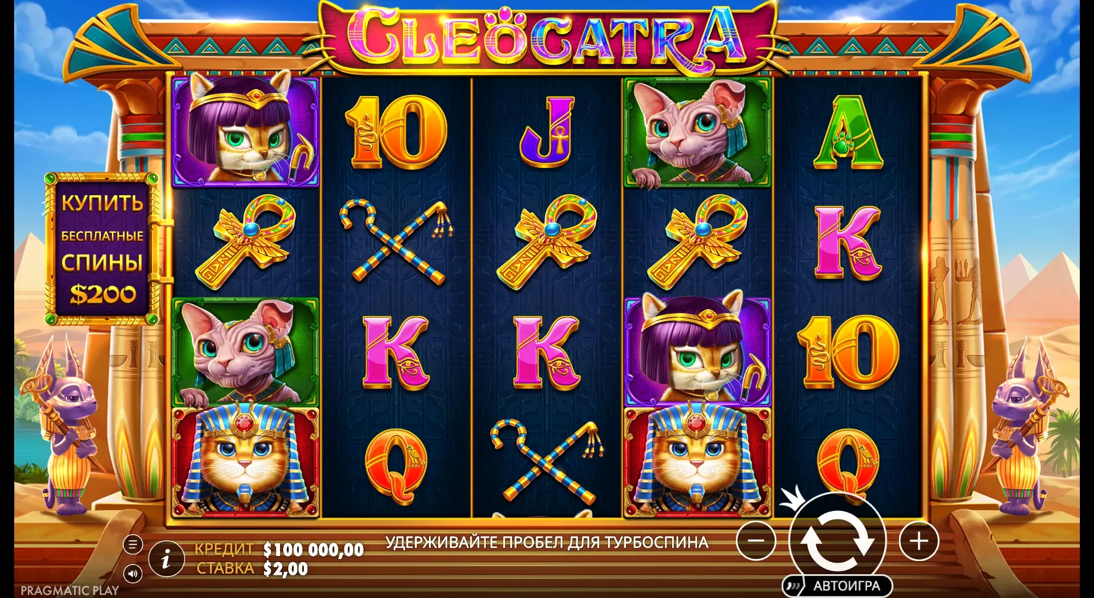cleocatra-2.webp