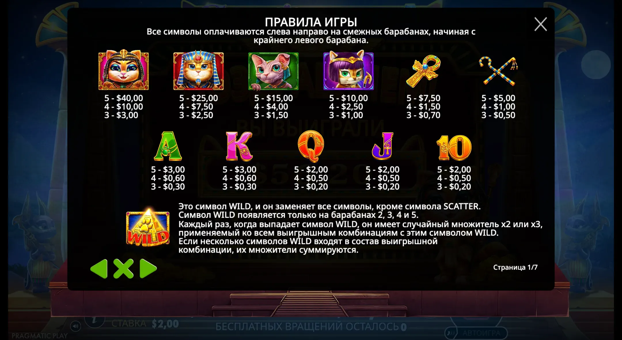 cleocatra-6.webp