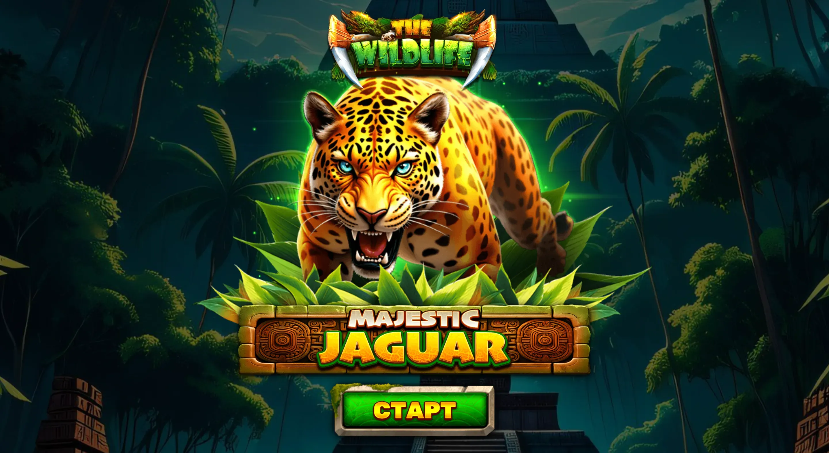 majestic-jaguar-1.webp