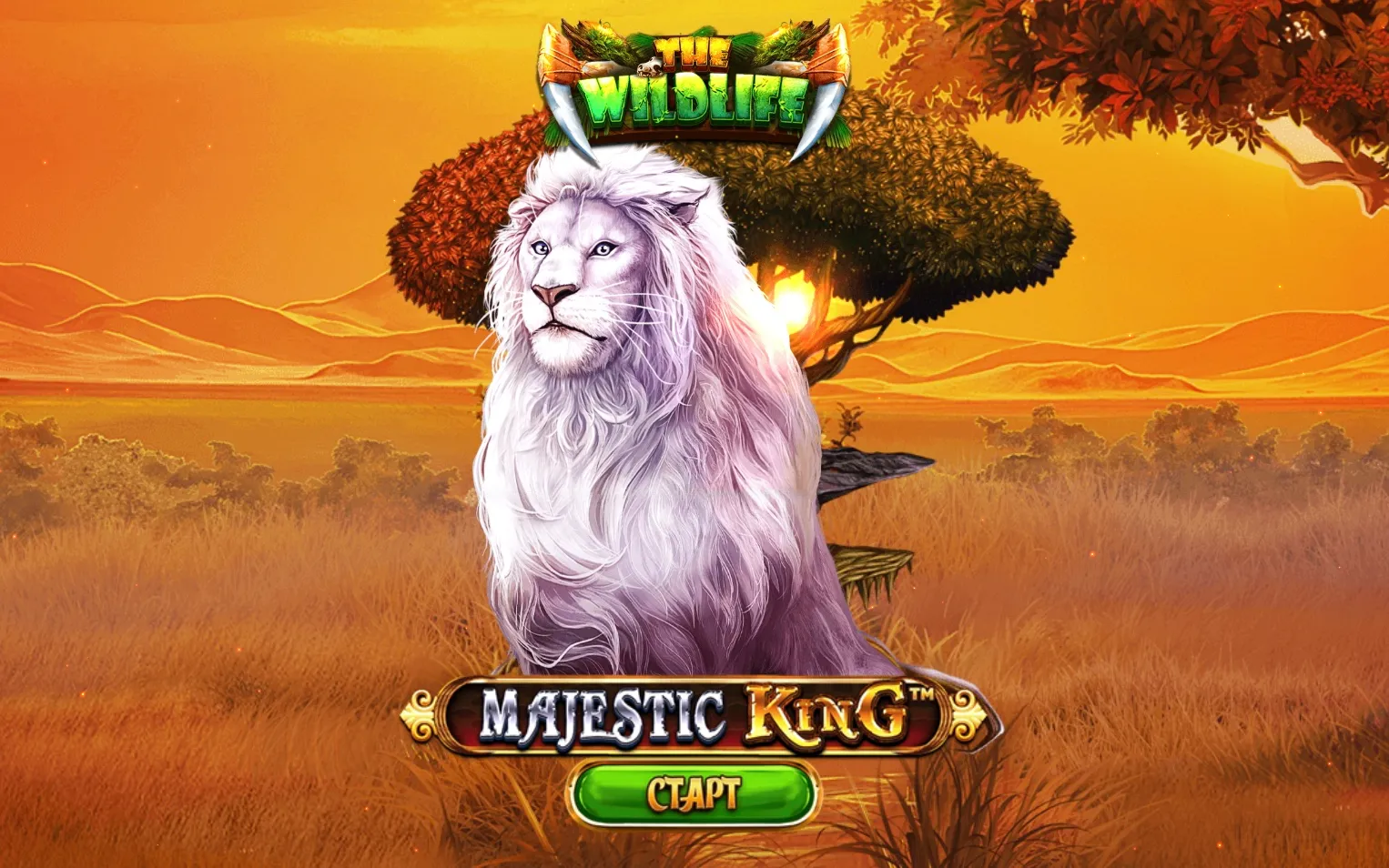 majestic-king-1.webp