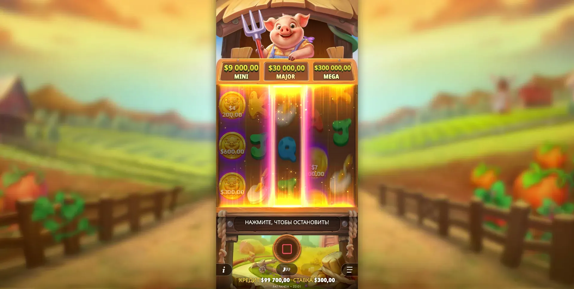 pig-farm-3.webp