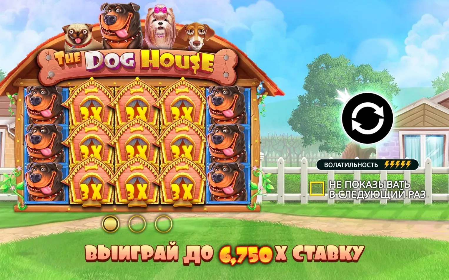 the-dog-house-1.webp