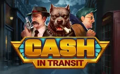 Cash in Transit