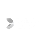 Evolution Gaming