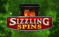 Sizzling Spins