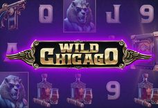 Wild Chicago