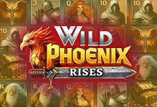 Wild Phoenix Rises